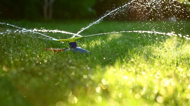 Three-way sprinkler in garden