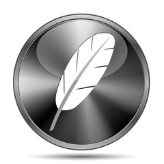 Feather icon