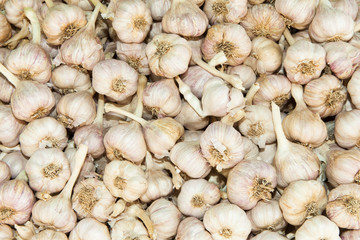 Garlic heads background