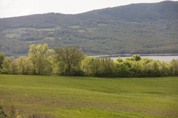 Fototapeta na wymiar landscape lake
