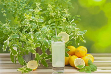Zitronenlimonade und Zitronen mit Dekoration