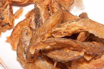 the fried fish