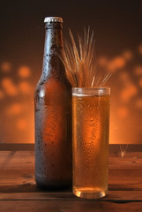 glass and bottle of cold beer