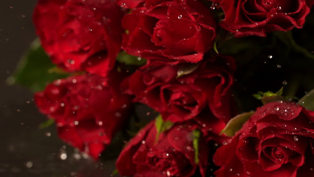 Bouquet of red roses falling onto wet surface
