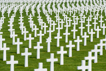 White marble crosses on an American military cimetery - 64912360