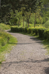 hilly landscape