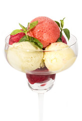 sorbet