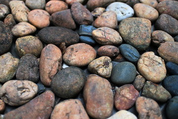 Fototapeta na wymiar Stone in the garden