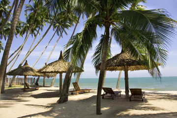 sun loungeres and  Umbrellas against  blue sea at sun day Mui Ne