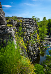 photo of high cliff on river grown with flowers and grass