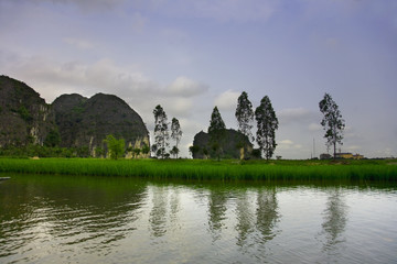Fototapeta na wymiar Travelling along rice fields on Tam Coc stream, Ninnh Binh, Viet