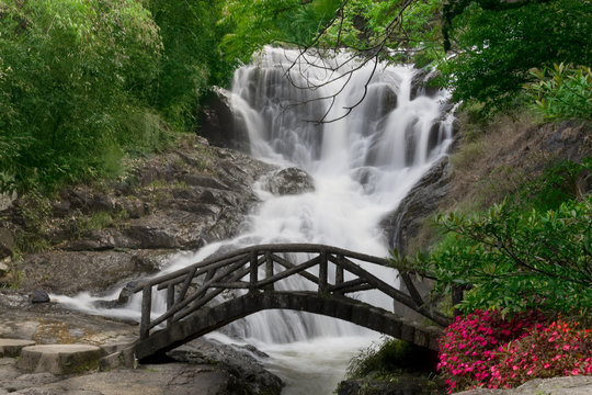Beautiful Waterfall in Dalat, Vietnam