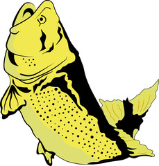 Big golden fish jumping