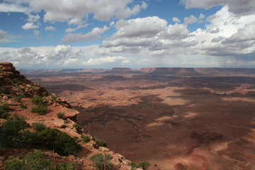 Canyonlands Needles Overlook