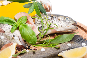 fresh raw of trout  fillets