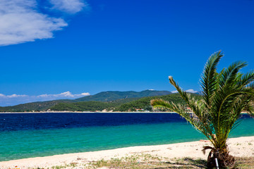 Naklejka premium beach