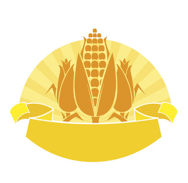 ripe corn vector