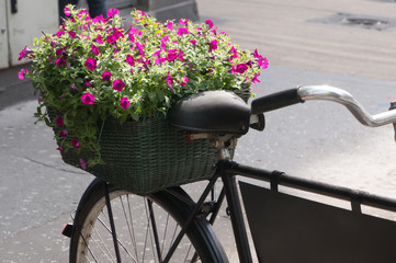 Fototapeta na wymiar woven basket of flowers on bicycle
