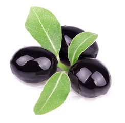 Ripe olives with a sprig