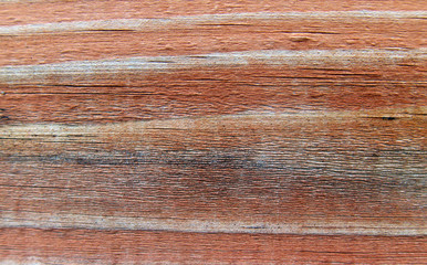 Naklejka premium texture of the wood