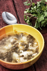soup with fresh vegetables