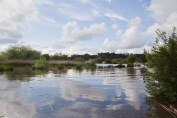 Park of Pateira de Fermentelos