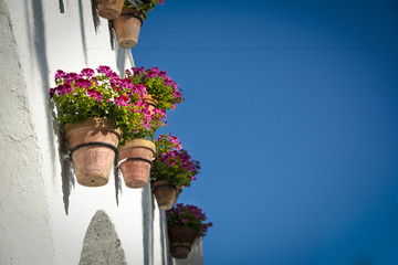 Fototapeta na wymiar Donice i kwiaty na tle białej ściany, starego miasta europejskie