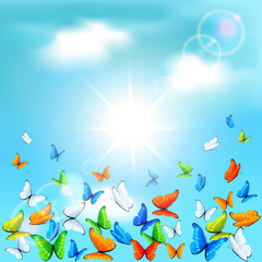 Butterflies in sky