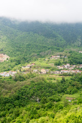Fototapeta na wymiar A town surrounded with forest on a mountain slope