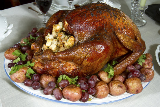 Turkey with Stuffing on Platter