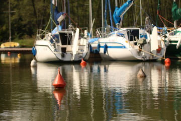 jachty w porcie © shutterfil77