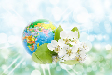 Spring blooming earth on white background