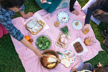 At the picnic