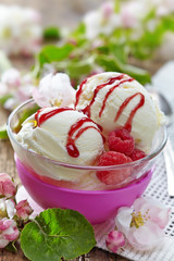 Vanilla Ice Cream with fresh berries
