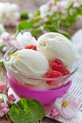 Vanilla Ice Cream with fresh berries