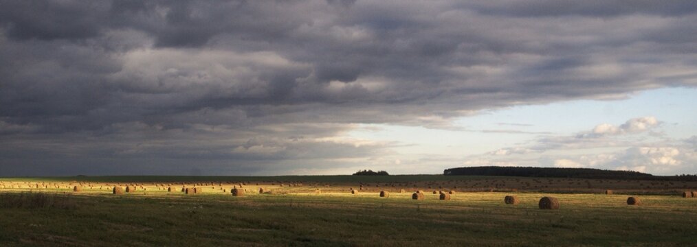 The sunny spels over the field