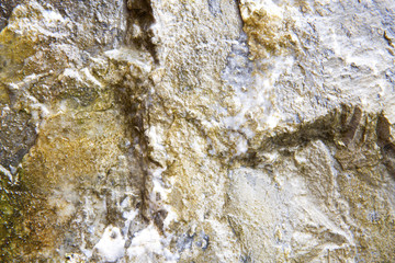 Wet Limestone Texture