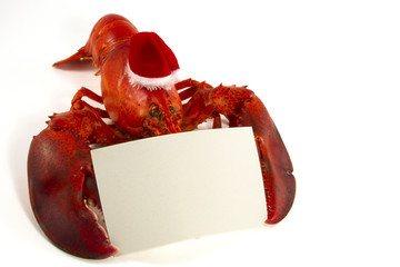 Whole Lobster with Santa Hat