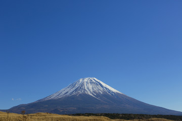 快晴青空の富士山（朝霧高原）