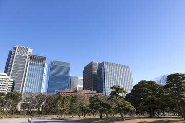 快晴青空 丸の内の高層ビル街