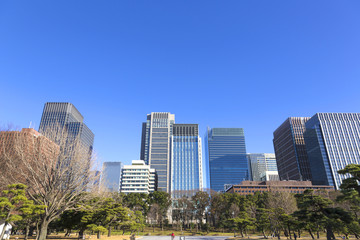 快晴青空 丸の内の高層ビル街