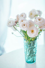 White ranunculus on pastel background