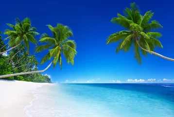 Photo sur Plexiglas Plage tropicale Paradis tropical