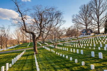 Fototapeta premium Arlington National Cemetery, Washington DC