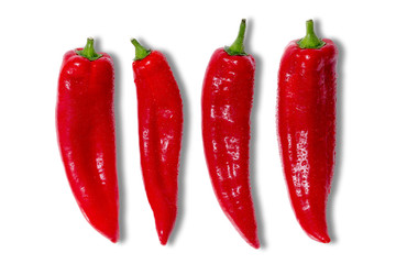 Four red hot chilli peppers