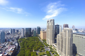 Fototapeta na wymiar 東京都庁と新宿高層ビル群