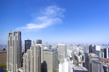 Fototapeta premium 新宿高層ビル群と東京都心の街並
