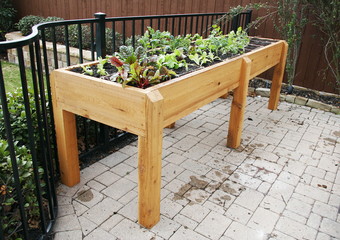 Elevated Raised Bed Vegetable Garden
