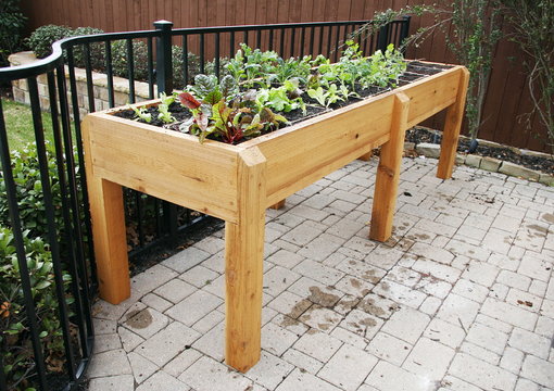 Elevated Raised Bed Vegetable Garden