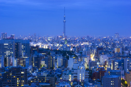 トワイライトの東京スカイツリーと東京都心の街並全体を望む